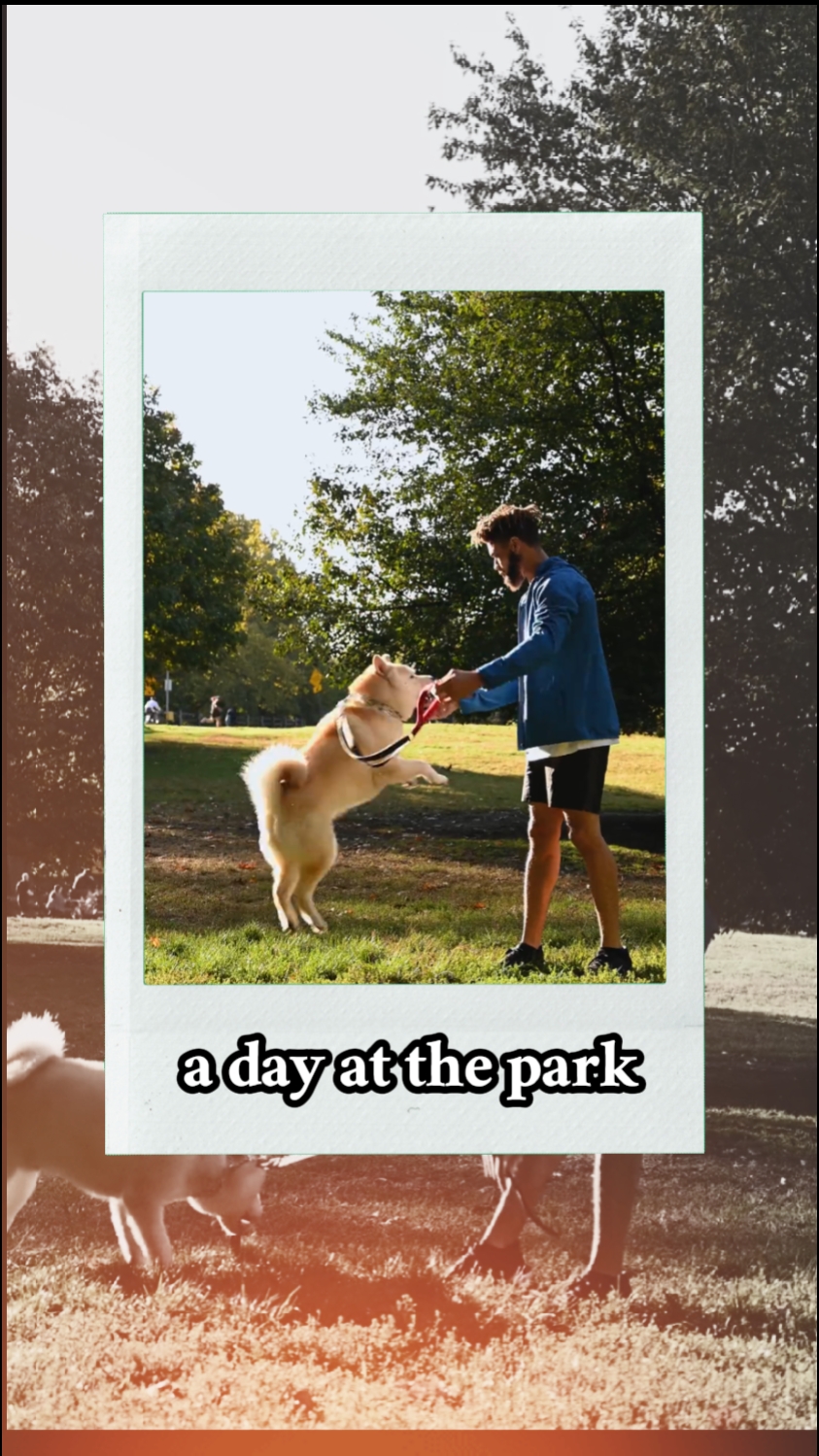 a day at the park