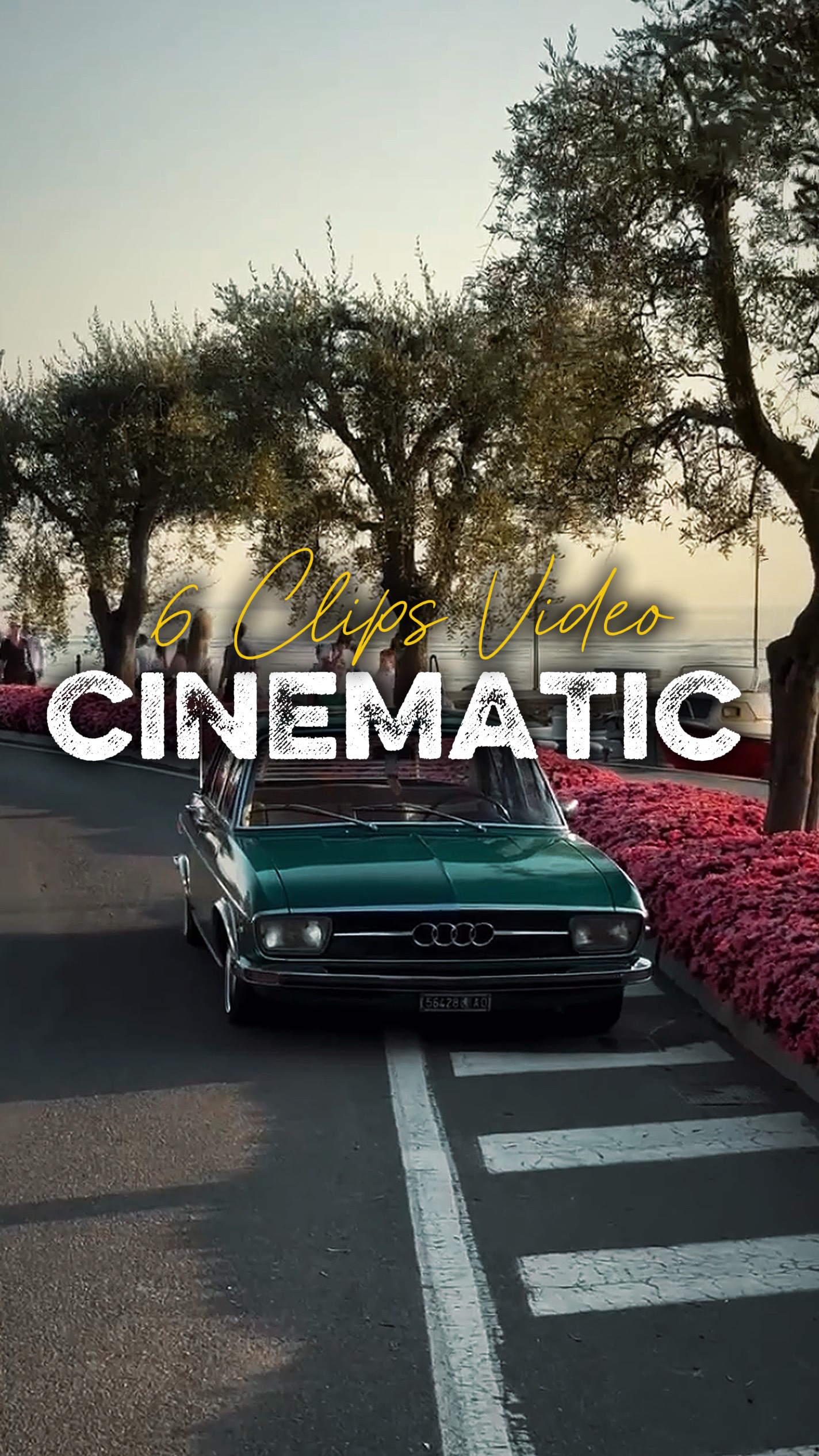 CINEMATIC 6 CLIPS