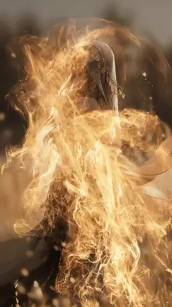 Particles explosion