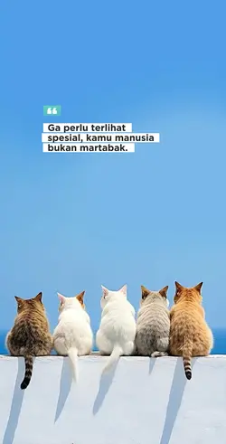 status wa