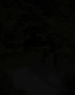 울어도 되는 나이입니다