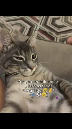 ferias