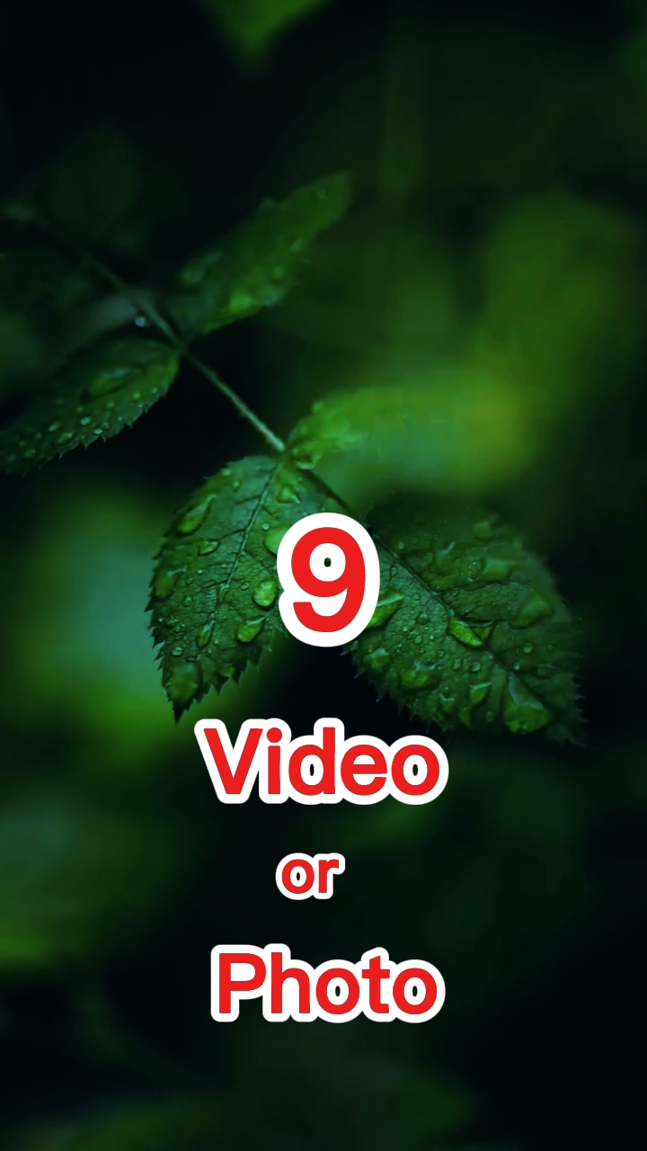 9 video or photo 