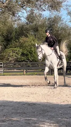 cutie ⚠️FAKE⚠️