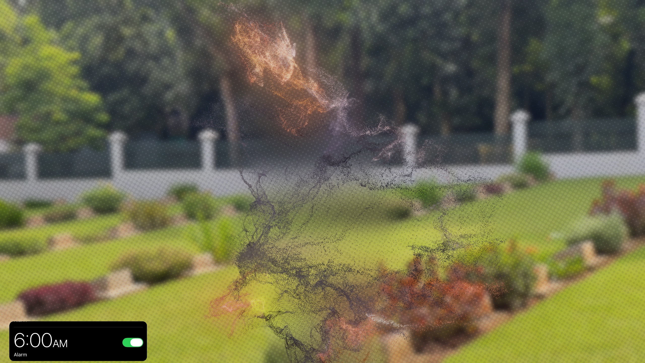 Cover Picture