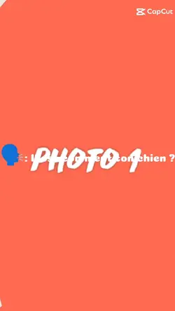 Chien Canon