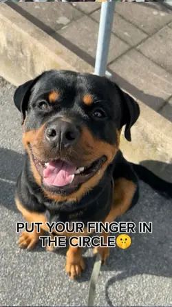 put your finger in