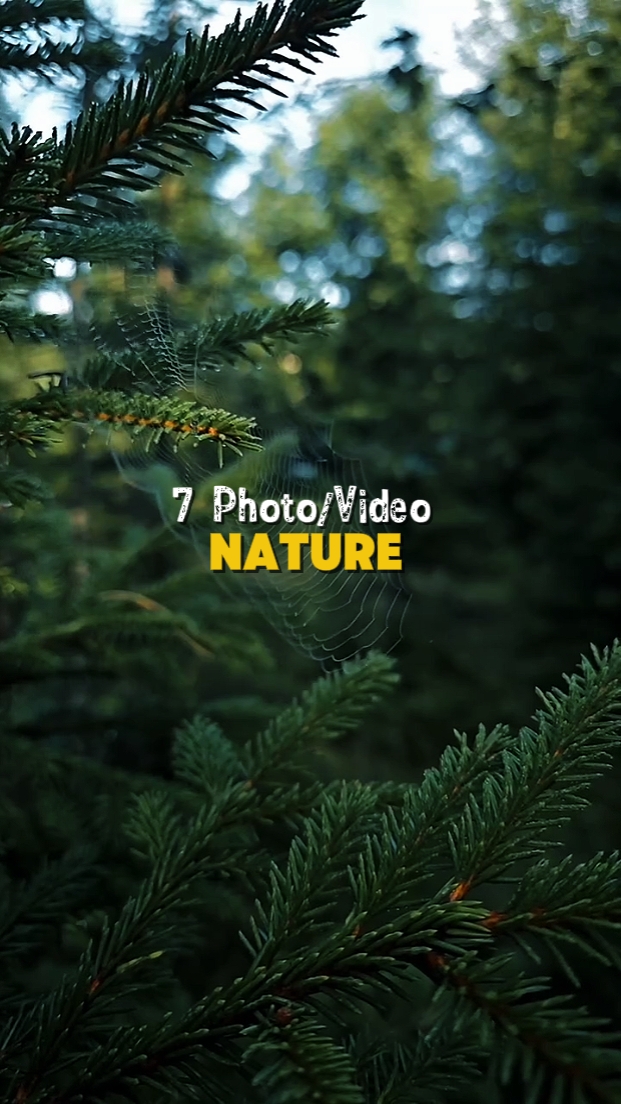 Natur 