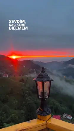 sevdimmmm