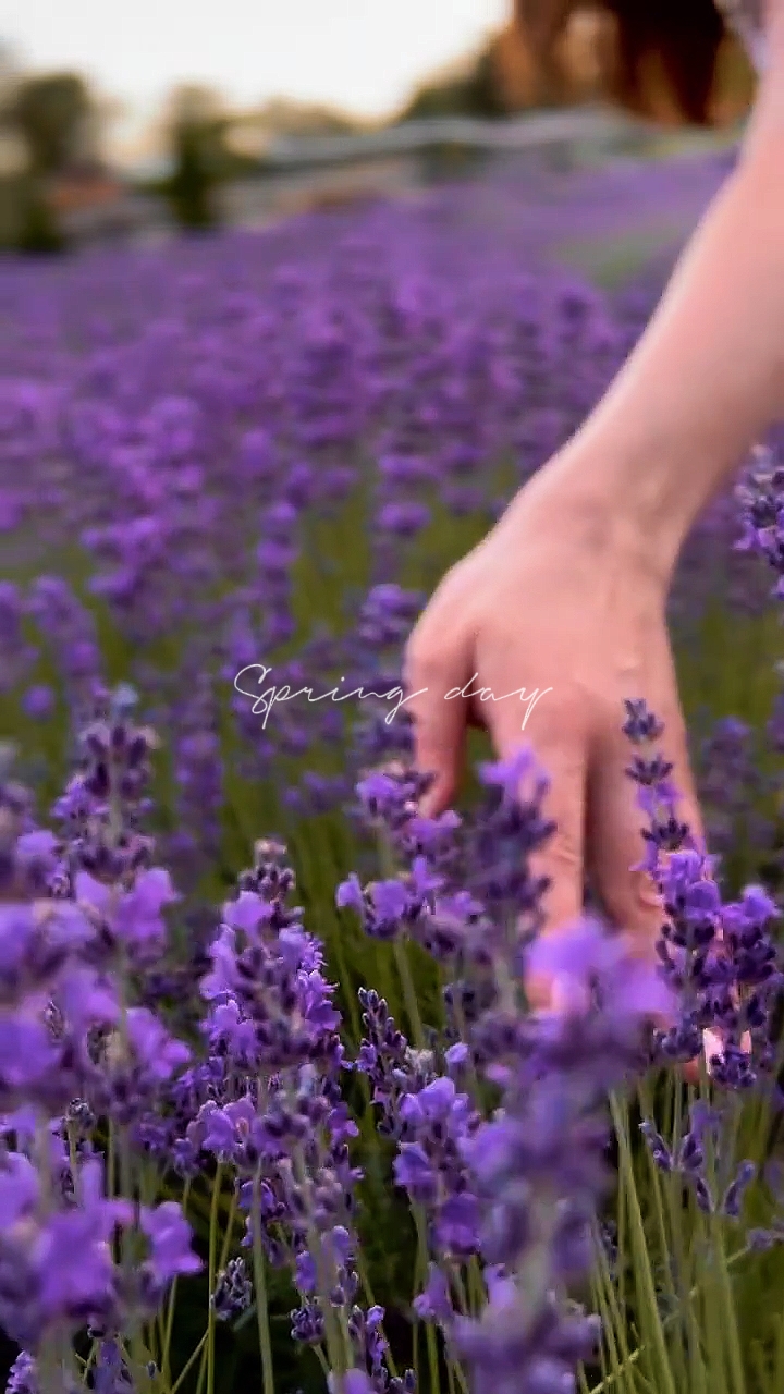 Bienvenido Primavera