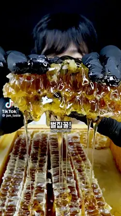 준맛님