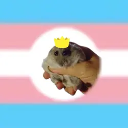 Trans Pride Flag 