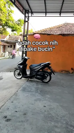 udah cocok nih 