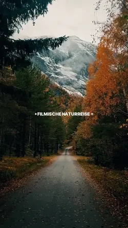 Filmische Naturreise