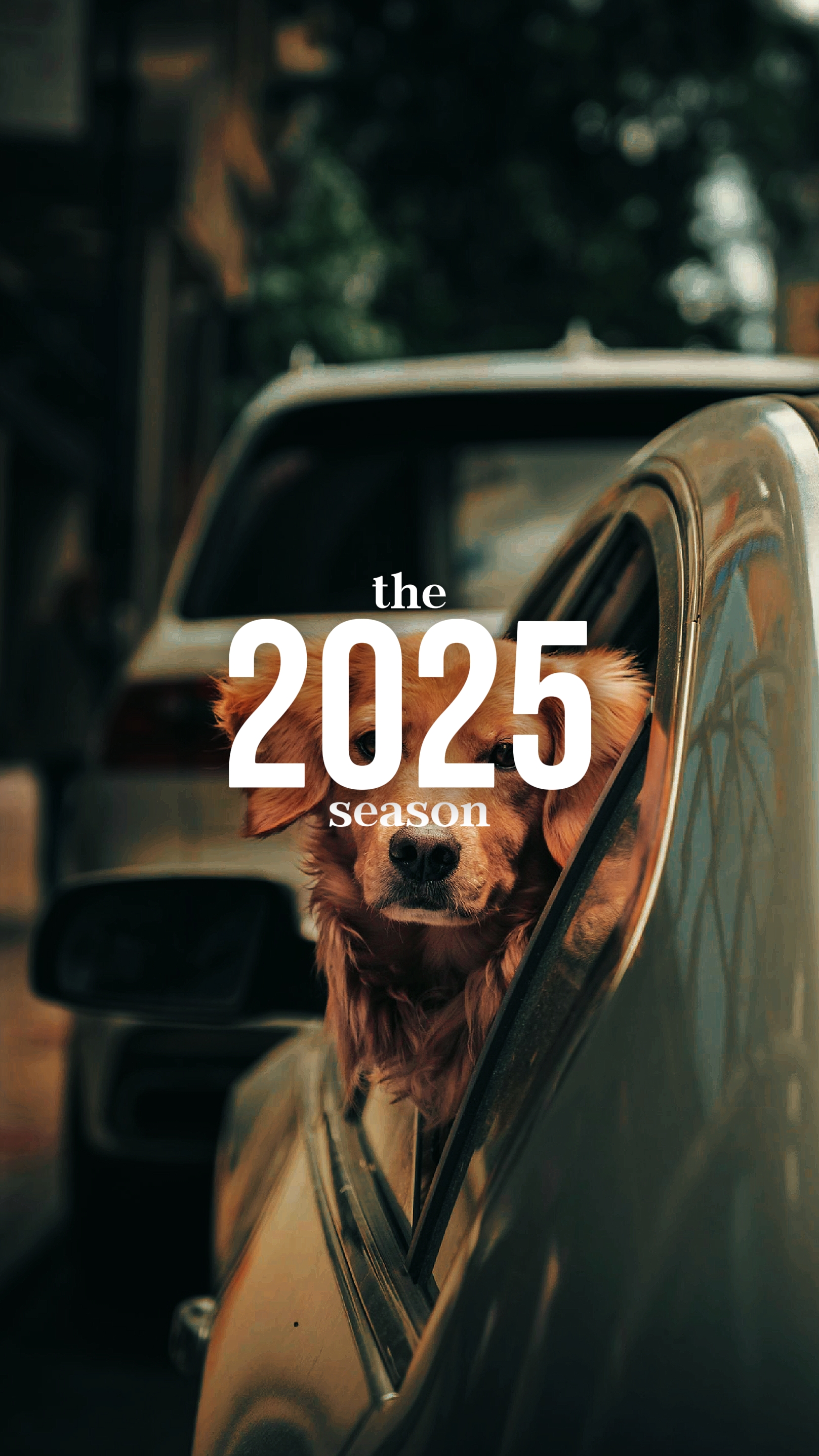 Rekap musim 2025