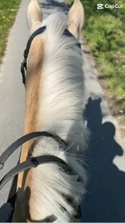 Fetzen 🔥