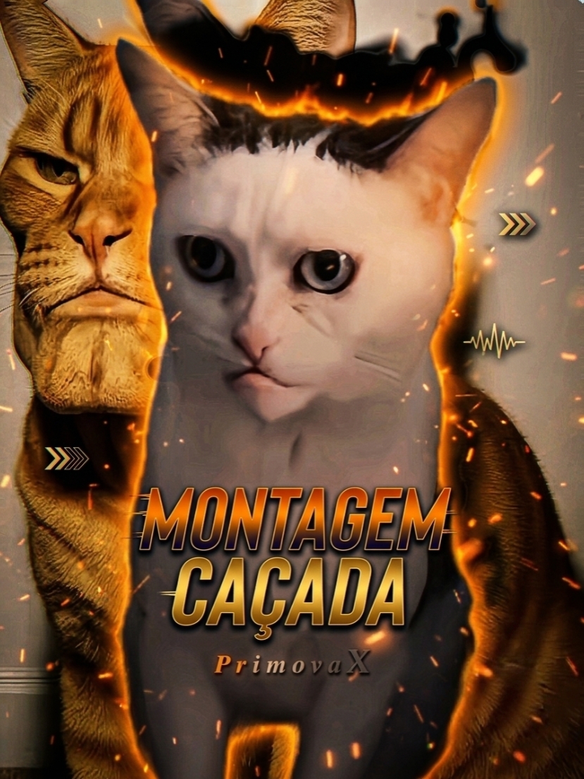 MONTAGEM CAÇADA