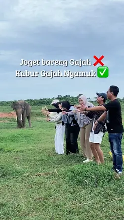 Gajah ngamuk