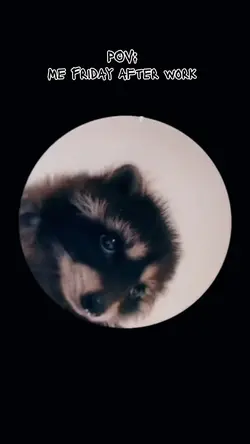 At Work / After Work