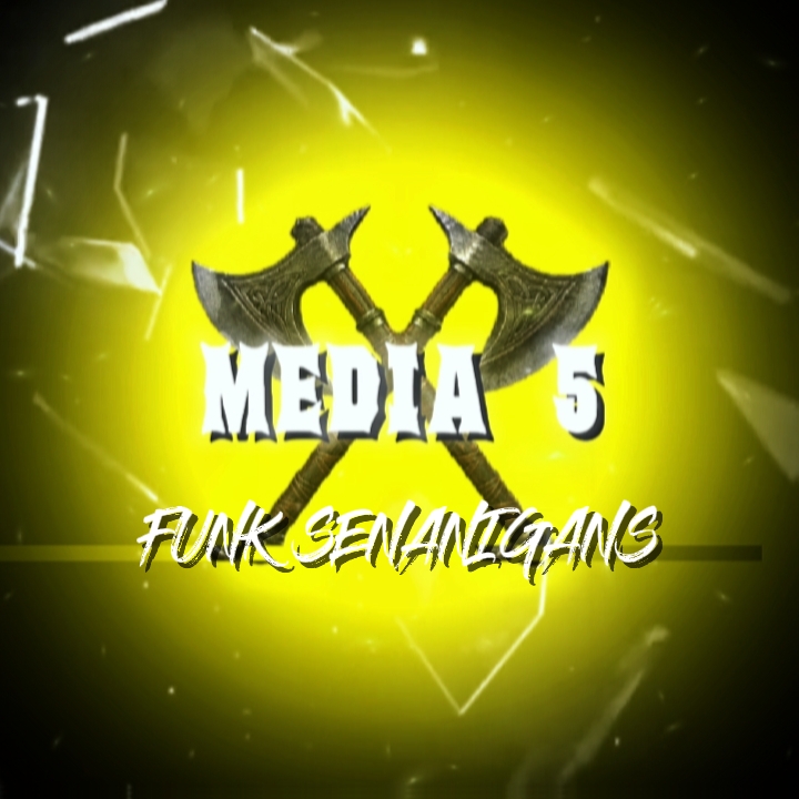 FUNK SENANIGANS 