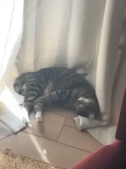 like yes bingo ! 😘