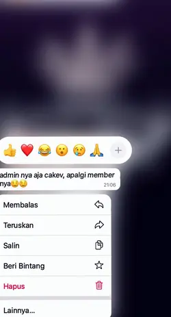 adminya aja cakep 
