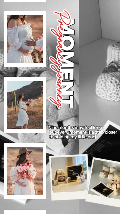 pregnancy journey