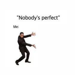 nobody perfect 