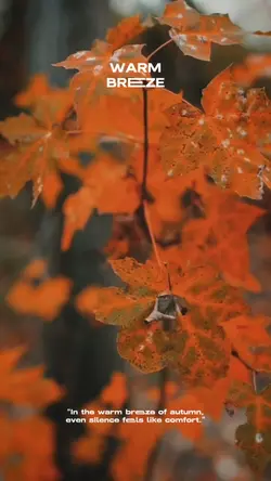 warm breeze 