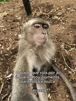 Será????📍🤷🏻♀️