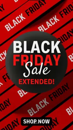 Black Friday Sale