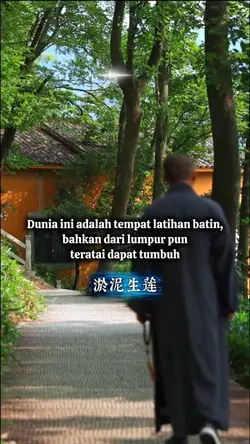 人间道场 淤泥生莲