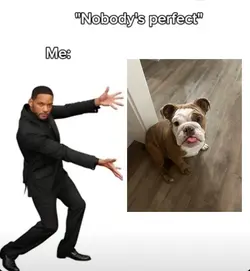 Nobody’s perfect me