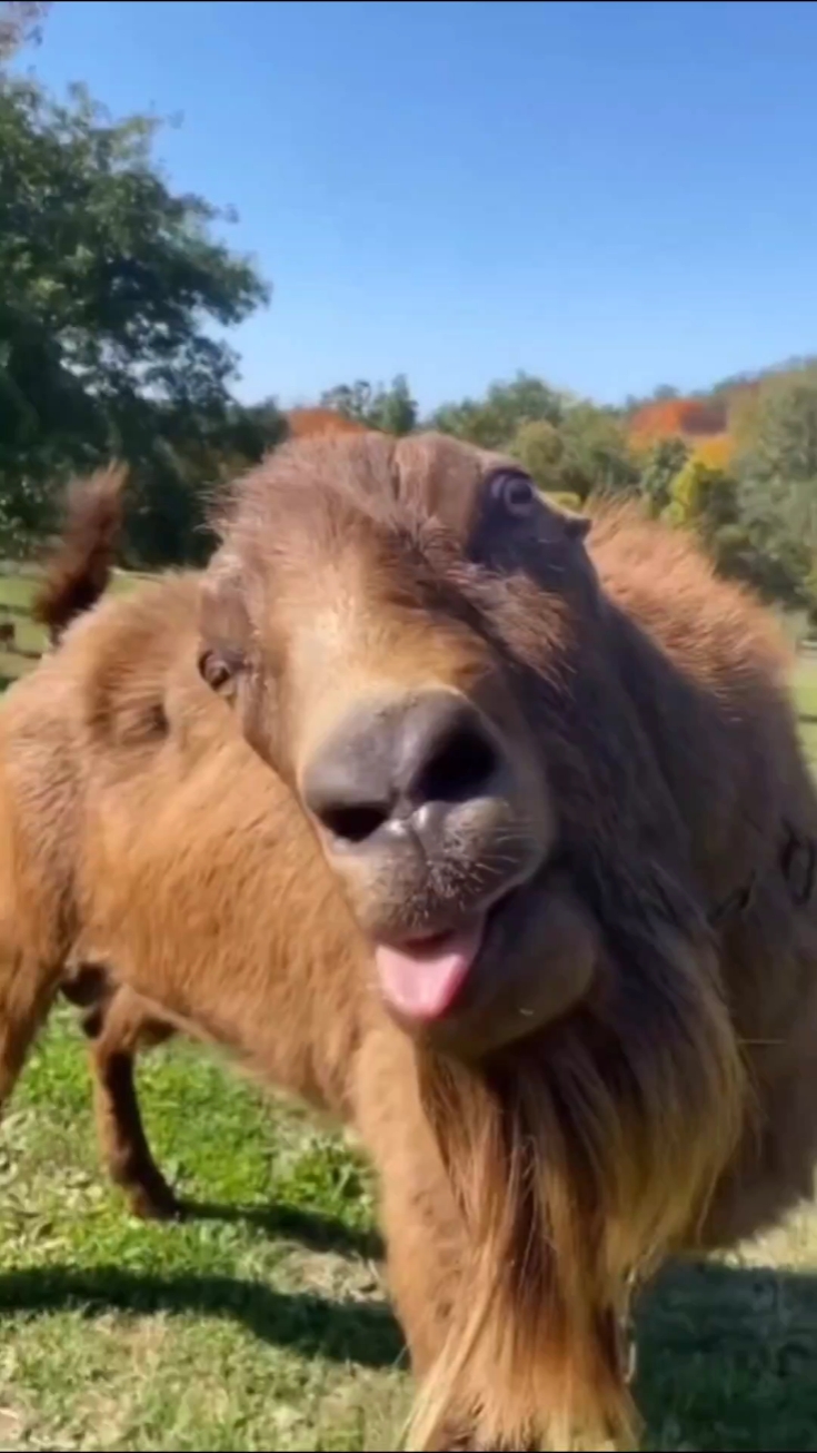 Tugas Terbuka Perpustakaan Kreatif C2B