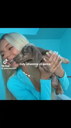 Edit eliza