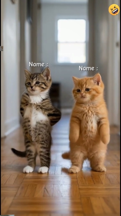 Write your names , 