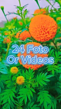 24 Foto Slide