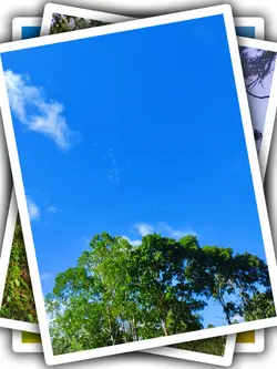 8Pic Aesthetic Frame