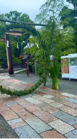 大鳥大社⛩️茅の輪くぐり