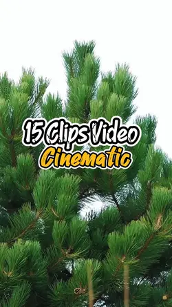 15 Clips Video