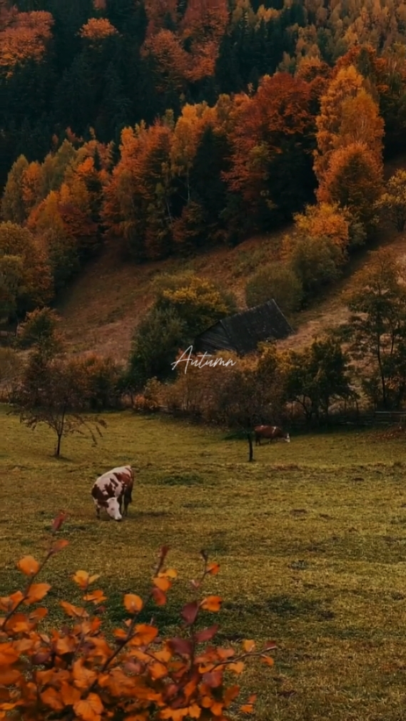 Otoño