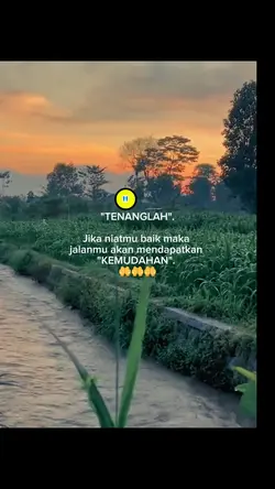 story WA 
