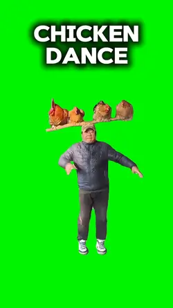 Dancing with chicken