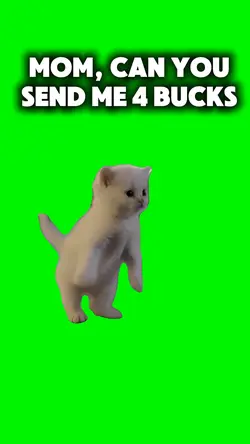 MOM, SEND ME MONEY