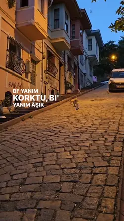 Bi yanım korktu 