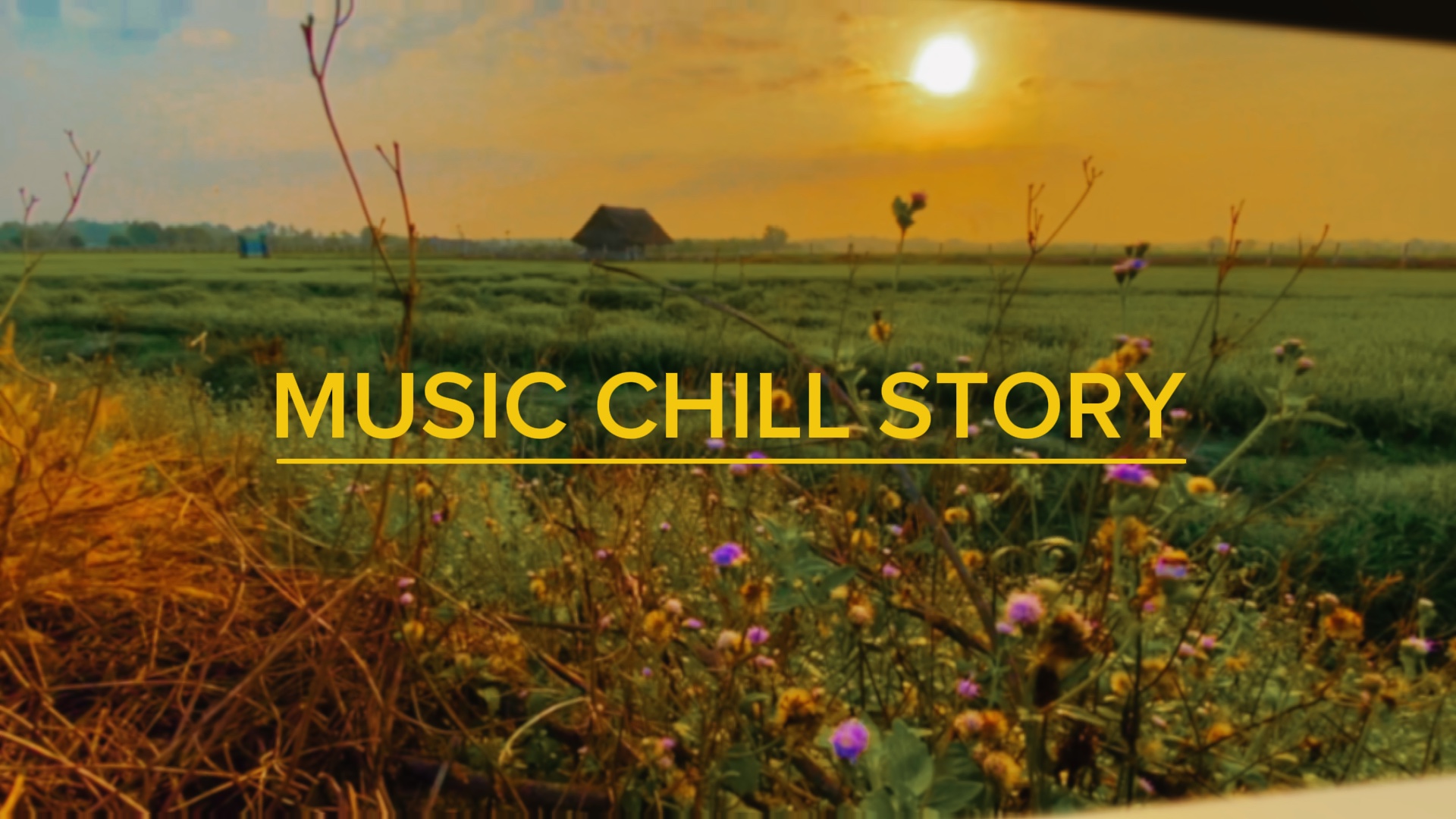 MUSIC CHILL STORY