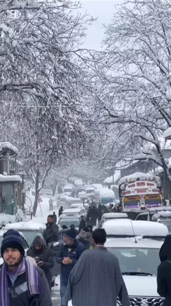Kashmir 