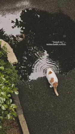 Sejauh ini terima ka