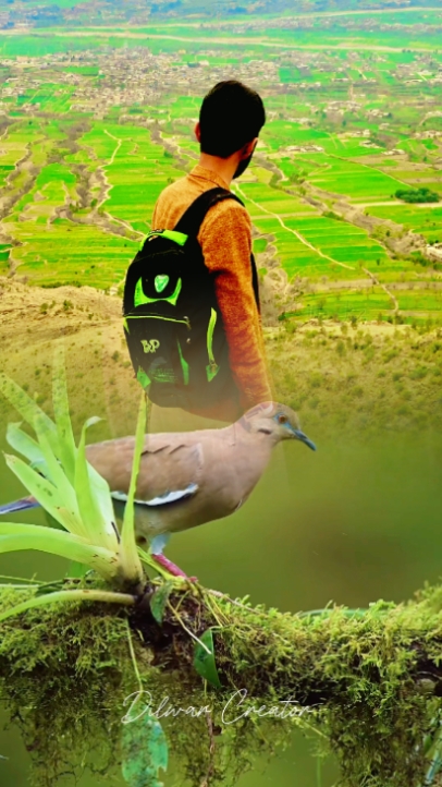 Cover Picture