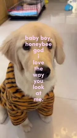 baby boy, honey bee